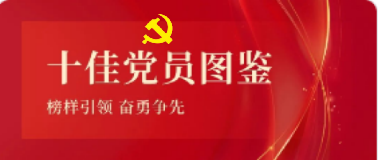 华体会官方网页版2023-2024年度十佳共产党员图鉴